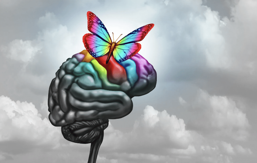 Role of RBTs in Autism Support